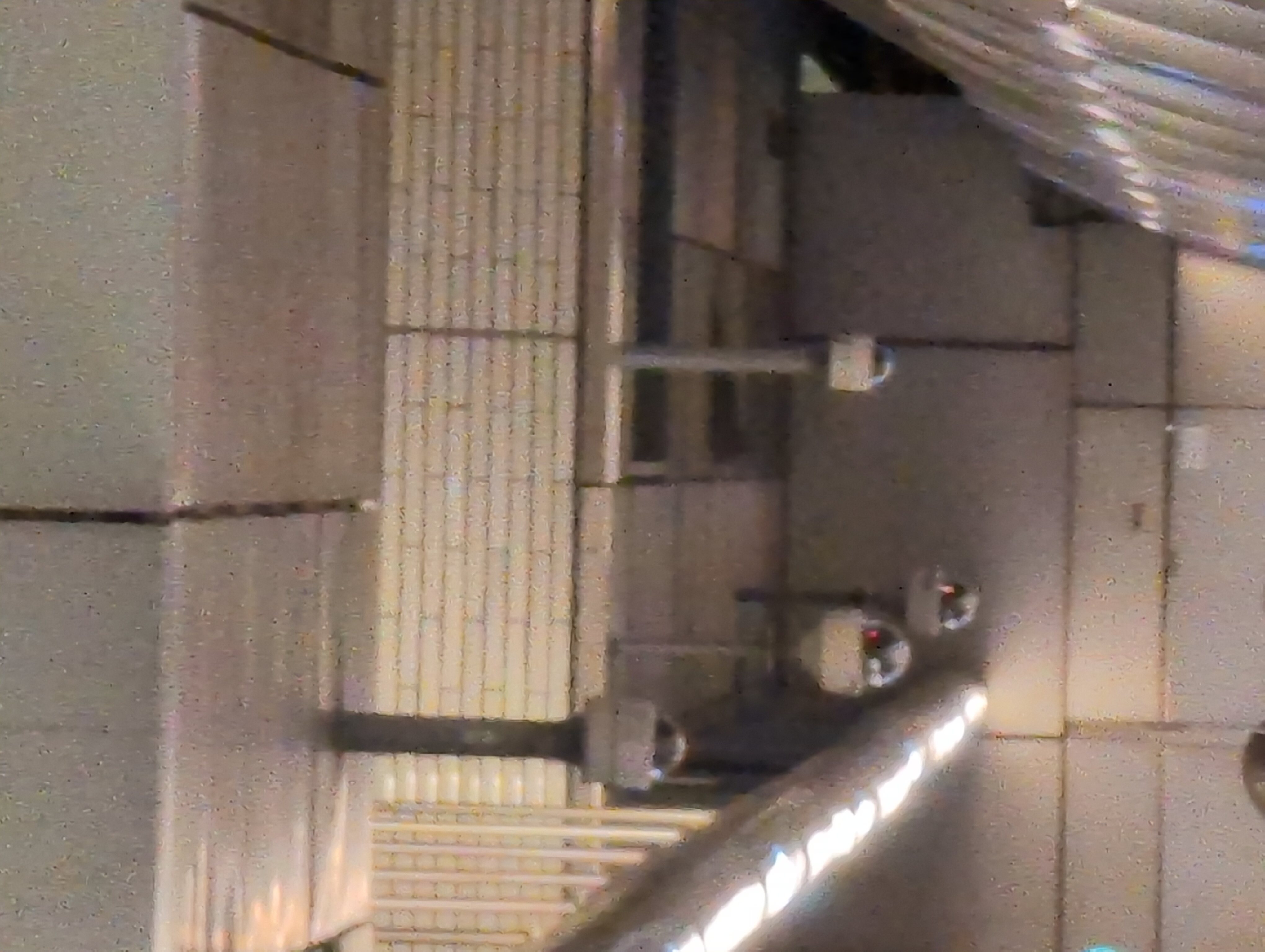 IMG_20250401_104530_534.jpg
